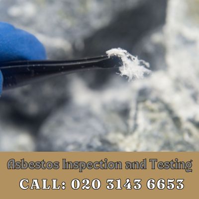 Comprehensive Asbestos Inspection and Testing Services in Norbury